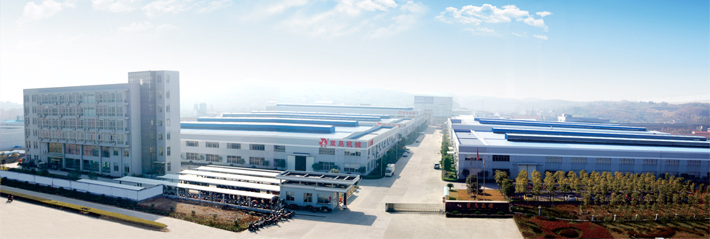 浙江雙鳥集團全景圖 浙江雙鳥集團全景圖